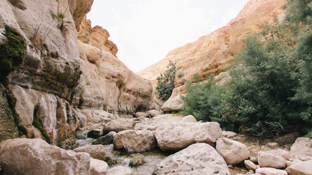 When Jesus Was Amazed