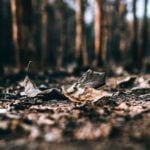 Why does God let bad things happen?