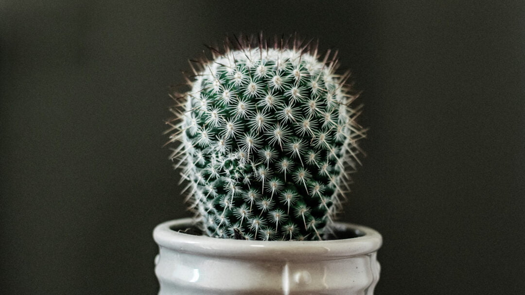 How should I deal with irritations?